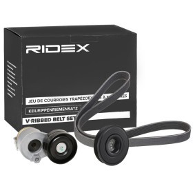 Keilrippenriemensatz von RIDEX