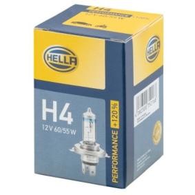 Abblendlicht-Glühlampe 8GJ 223 498-021