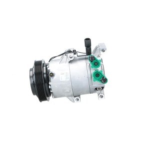 Lichtmaschine von BV PSH