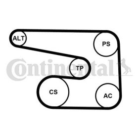 Comprar Juego de correas trapeciales poli V de CONTITECH 6PK1873K5 a bajo precio de 56,41 €