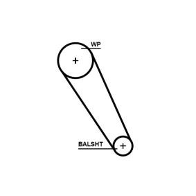 Zahnriemen von GATES für Multivan V (7HM, 7HN, 7HF, 7EF, 7EM, 7EN) günstig online kaufen
