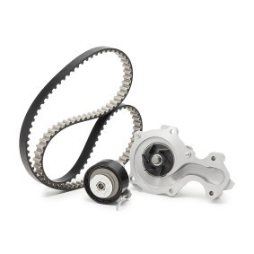 Achetez des Kit de distribution + pompe à eau DAYCO KBIOWP020 à prix pour 144,39 €
