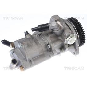 Servopumpe von TRISCAN