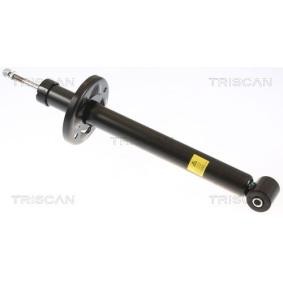 Stoßdämpfer von TRISCAN 8705 29209