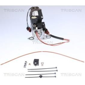 Acquista Compressore sospensioni da TRISCAN 8725 29101 a buon mercato per soli 1647,16 €