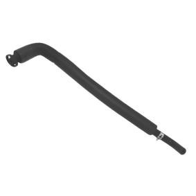 Comprar Tubo flexible, ventilación bloque motor de BUGIAD BMC19246 a bajo precio de 7,89 €