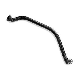 Comprar Tubo flexible, ventilación bloque motor de BUGIAD BMC19278 a bajo precio de 14,14 €