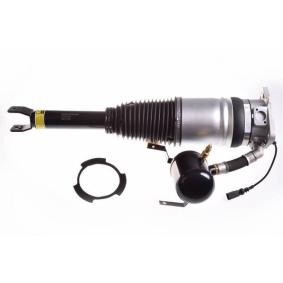 Acquista Ammortizzatore pneumatico da DENCKERMANN DSA013G a buon mercato per soli 579,71 €