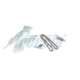 Steuerkettensatz für MINI von FRECCIA