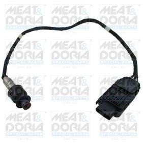 NOx-Sensor, NOx-Katalysator von MEAT & DORIA
