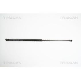 Comprar Amortiguador de maletero de KAWE 8710 10204 a bajo precio de 25,27 €