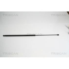 Comprar Amortiguador de maletero de KAWE 8710 15234 a bajo precio de 22,39 €