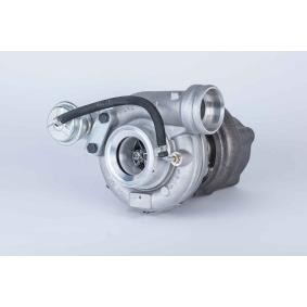 Turbolader von BorgWarner 12589880024