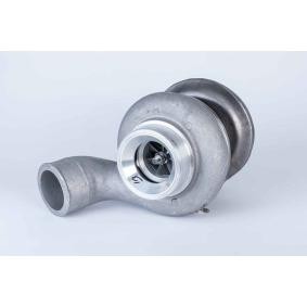 Turbolader von BorgWarner 319087