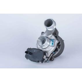 Comprar Turbocompresor de BorgWarner 54409880014 a bajo precio de 929,18 €