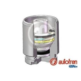 Kolben, Bremssattel D025102K