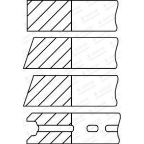 Acquista Kit fasce elastiche da GOETZE ENGINE 08-522309-10 a buon mercato per soli 25,97 €