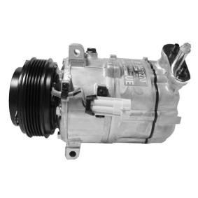 Acquista Compressore aria condizionata da Airstal 10-0593 a buon mercato per soli 199,05 €