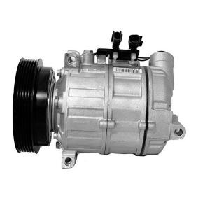 Klimakompressor 10-1002