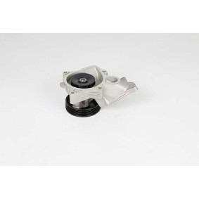 Achetez des Pompe à eau BSG BSG 15-500-016 à prix pour 68,54 €