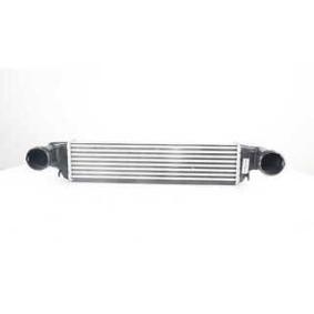 Köp Intercooler av BSG BSG 15-535-006 till det låga priset 1631,06 kr