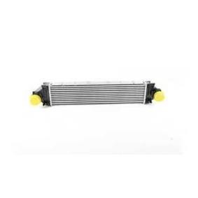 Kjøp Intercooler av BSG BSG 15-535-020 til den lave prisen 3098,52 NOK