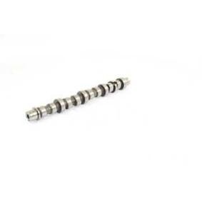 Achetez des Arbre à came BSG BSG 25-108-004 à prix pour 89,19 €