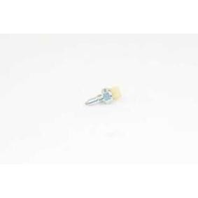 Comprar Interruptor, piloto de marcha atrás de BSG BSG 25-840-003 a bajo precio de 37,79 €