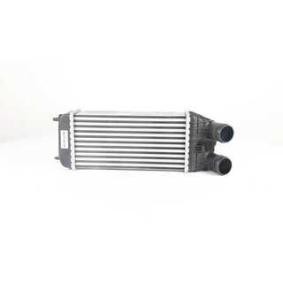Acquista Intercooler da BSG BSG 70-535-006 a buon mercato per soli 115,33 €