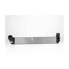 Köp Intercooler av BSG BSG 75-535-003 till det låga priset 1518,52 kr