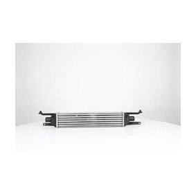 Achetez des Intercooler BSG BSG 75-535-010 à prix pour 99,89 €