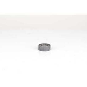 Acquista Galoppino guidacinghia, cinghia Poly-V da BSG BSG 75-615-001 a buon mercato per soli 30,37 €