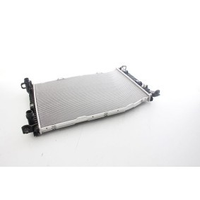 Achetez des Radiateur du moteur BSG BSG 90-520-025 à prix pour 236,33 €