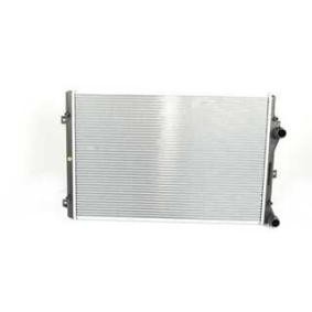Achetez des Radiateur du moteur BSG BSG 90-520-027 à prix pour 190,96 €