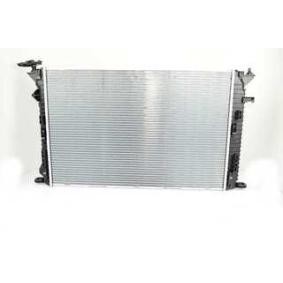 Achetez des Radiateur du moteur BSG BSG 90-520-030 à prix pour 251,24 €