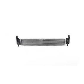Achetez des Radiateur du moteur BSG BSG 90-535-012 à prix pour 156,44 €