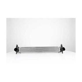 Köp Intercooler av BSG BSG 90-535-015 till det låga priset 1302,01 kr
