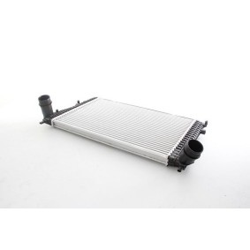 Köp Intercooler av BSG BSG 90-535-017 till det låga priset 2089,04 kr