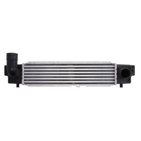 Köp Intercooler av THERMOTEC DA03001TT till det låga priset 1164,44 kr