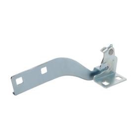 Scharnier, Motorhaube 6802-00-2098451P