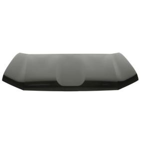 Motorhaube 6803-00-8145280P