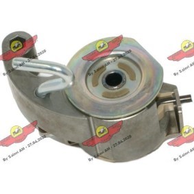 Riemenspanner, Zahnriemen von AUTOKIT für Transit Custom V362 Bus (F3) günstig online kaufen