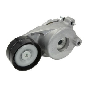 Compre Tensor, correia trapezoidal estriada da BTA 534 0183 10 a um preço baixo por 66,85 €