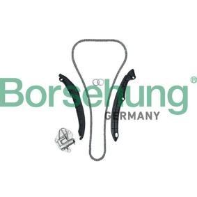 VOLKSWAGEN Steuerkettensatz von Borsehung