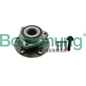 Radlagersatz von Borsehung B19232