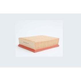 Luftfilter AE15725 von STEP FILTERS günstig für 15,72 € online kaufen