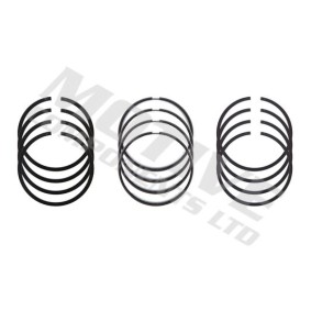 Acquista Kit fasce elastiche da motive 5209 a buon mercato per soli 89,27 €
