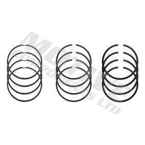 Acquista Kit fasce elastiche da motive 5242 a buon mercato per soli 90,55 €