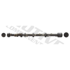 Nockenwelle T1039