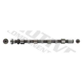 Nockenwelle T2096